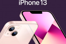 Kelebihan dan Kekurangan iPhone 13 yang Turun Harga Per Mei 2024 di iBox