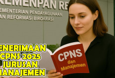 Info CPNS 2025 : Dibutuhkan Lulusan S1 Manajemen Peluang Kemungkinan Banyak Penerimaan