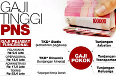 Benarkah Gaji PNS dan Pensiunan Naik 16%, Jika Terjadi Kenaiakn Segini Besaranyang Diterima