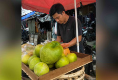 Musim Jeruk Bali dari Musi Rawas, Dijual di Pasar Inpres Lubuk Linggau