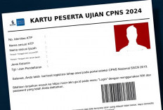 Sulit Mencetak Kartu Ujian CPNS 2024? Tenang Ini 7 Solusi dari BKN