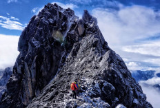 Fakta Geologis: Gunung-Gunung Tertinggi yang Terangkat dari Dasar Laut