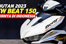 Honda BeAT 150 Ramai Dibicarakan, Benarkah Jadi Pengganti Ideal Vario 150?