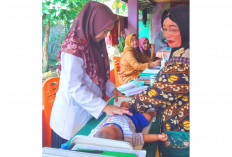 Tak Hanya Timbang Berat Badan, ke Posyandu Bisa Cek Gula Darah, Tensi Darah Hingga Konsultasi Gizi  