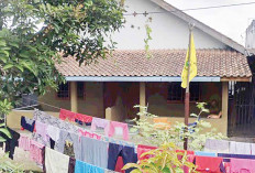 Kontrakan Istri Muda Anggota DPRD Kholizol Tamhulis Ikut Digeledah