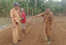 Jelang Musim Hujan Petani di Jayaloka Siapkan Lahan Untuk Ditanam