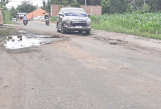 Ada Keluhan Soal Jalan Rusak, Pemkot Lubuk Linggau Siapkan Tim Reaksi Cepat 