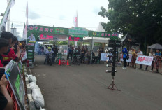 431 Pembalap Ikuti Drag Bike Piala Nanan di Sirkuit Muara Beliti