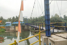 Larangan Diabaikan, Pengunjung Bendungan Watervang Tetap Terjun dari Jembatan