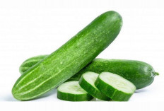 Mentimun: Buah Segar Penuh Manfaat untuk Kesehatan