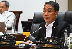 Petinggi OJK Mundur, Fauzi Amro : Ini Bentuk Tanggung Jawab Moral !
