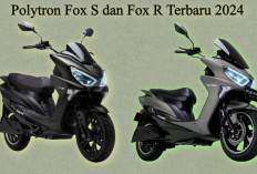 Intip Spesifikasi Motor Listrik Polytron Fox S dan Fox R Terbaru 2024, Memiliki Bodi Bongsor