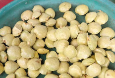 Jengkol Muda Kupas Asal PUT Laris Manis di Pasar Bukit Sulap  