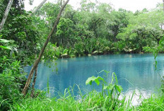 Danau Bak Blau Pulau Enggano Bengkulu Bikin Wisatawan Kagum dengan Air Mata Biru