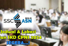 Peserta SKD CPNS 2024 Segera Cek Lokasi dan Waktu Ujian TWK, TIU, TKP