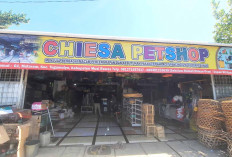 Chiesa Petshop, Toko Serba Ada untuk Hewan Peliharaan di Tugumulyo Musi Rawas