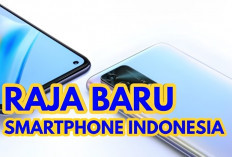 Ini Raja Smartphone Baru di RI, Tendang Samsung, Vivo dan Oppo