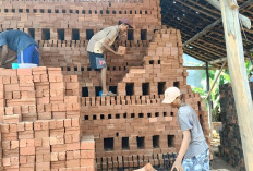 Melihat Sentra Pembuatan Batu Bata Merah Berkualitas Di Desa E Wonokerto Musi Rawas