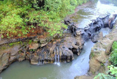 Wisata Musi Rawas : Air Terjun Curug Tinggi, Surga Tersembunyi yang Wajib Dikunjungi