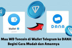 Mau WD Toncoin di Wallet Telegram ke DANA? Begini Cara Mudah dan Amannya