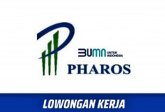 Lowongan Kerja Mei 2024 PT Pharos Indonesia, Tersedia 3 Posisi! Berikut Cara Daftarnya