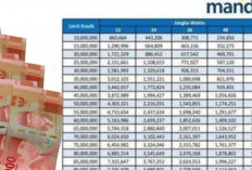 Modal Usaha Tanpa Ribet, KUR BNI 2026 Tawarkan Bunga Super Ringan