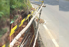 Bahu Jalinsum di Kelurahan Sumber Agung Longsor Mengancam Keselamatan Pengguna Jalan  