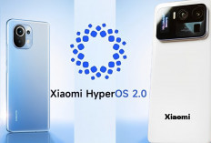 60 Daftar HP Xiaomi yang Akan Rilis HyperOS 2.0 Pembaruan Besar, Apakah HP Xiaomimu Termasuk?