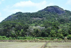 Ternyata ini Pesona Batu Sembilan Puncak Bukit Botak di Kabupaten Musi Rawas
