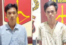 Security Dalangi Pencurian Sawit di PT DAM BTS Ulu Musi Rawas