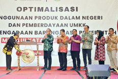 Jadi Pemateri Sosialisasi Optimalisasi PDN oleh LKPP, H Fauzi Amro Ajak Pelaku Usaha Melek Teknologi