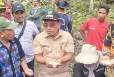 Ada 2.955 Hektare Lahan Sawah di Muratara, Ini Harapan Bupati 