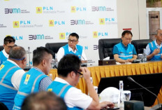 Gubernur Bali Apresiasi Gerak Cepat PLN Atasi Gangguan Kelistrikan