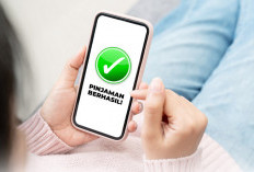 Pinjaman Online yang Bisa Dicicil Makin Diminati, Ini Jenis dan Tips Memilih yang Aman