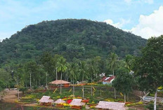 Air Terjun Temam dan Bukit Sulap Hadapi Tantangan Hingga 2027, Sepi Namun Pacu Adrenalin