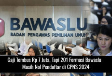 Gaji Tembus Rp 7 Juta, Tapi 201 Formasi Bawaslu Ini Masih Nol Pendaftar di CPNS 2024 