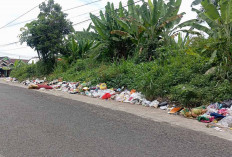 Tumpukan Sampah di Taba Jemekeh Capai 100 Meter, Warga Keluhkan Bau Menyengat dan Gangguan Lalu Lintas