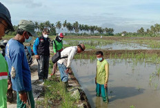 Petani Desa Tegalrejo Lakukan Gerdal Hama Tikus Sebelum Tanam Padi