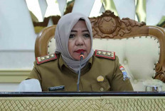 Hasil Pemeriksaan 19 Oknum Pegawai Dishub yang Lakukan Razia Ilegal di Palembang