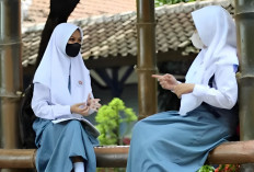 Catat! Ada 25 SMA Terbaik di Indonesia Versi Top 1000 Sekolah, Referensi PPDB 2025