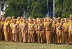 Hasil Evaluasi WFH, Ada Oknum ASN Sulit Dihubungi
