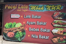 Keunikan Pecel Lele Asli Tegal Mbak Nur: Kuliner Khas dengan Rasa yang Tak Terlupakan di Lubuk Linggau