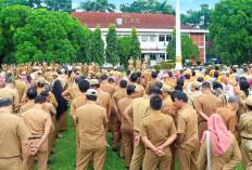 Didominasi Perempuan, 11 ASN Pemkot Lubuk Linggau Ajukan Permohonan Cerai  