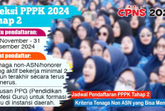 Telah Dibuka Pendaftaran PPPK 2024 Tahap 2, Cek Kriteria dan Cara Daftar di SSCASN