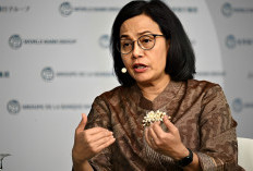Asik! Khusus 4 Honorer Ini Telah di Siapkan Sri Mulyani Gaji Gede Capai Rp5 Juta