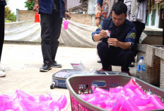 BPOM Temukan Cendol Pink Positif Mengandung Bahan Berbahaya