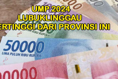 UMK 2024 Lubuklinggau Tinggi Dibandingkan UMP di Jambi, Sumbar, Sumut, Lampung dan Bengkulu