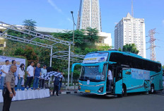 Tahun Ketujuh Anggota DPR RI, Fauzi Amro Bersama SAFA Laksanakan Program Mudik Gratis