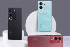 5 Rekomendasi HP Vivo Gaming Terbaik 2024: Bawa Spek Dewa dengan Harga Merkayat