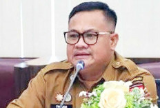 Catat, Jelang dan Usai Cuti Lebaran 2026 ASN Pemkot Lubuk Linggau Terapkan WFA